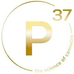 p37